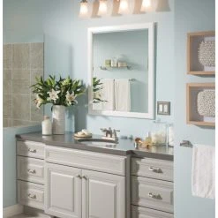 Moen Retreat Vanity Shelf, Brushed Nickel -Kraus Shop 2c8150420d5aa7db 1879 w800 h800 b0 p0